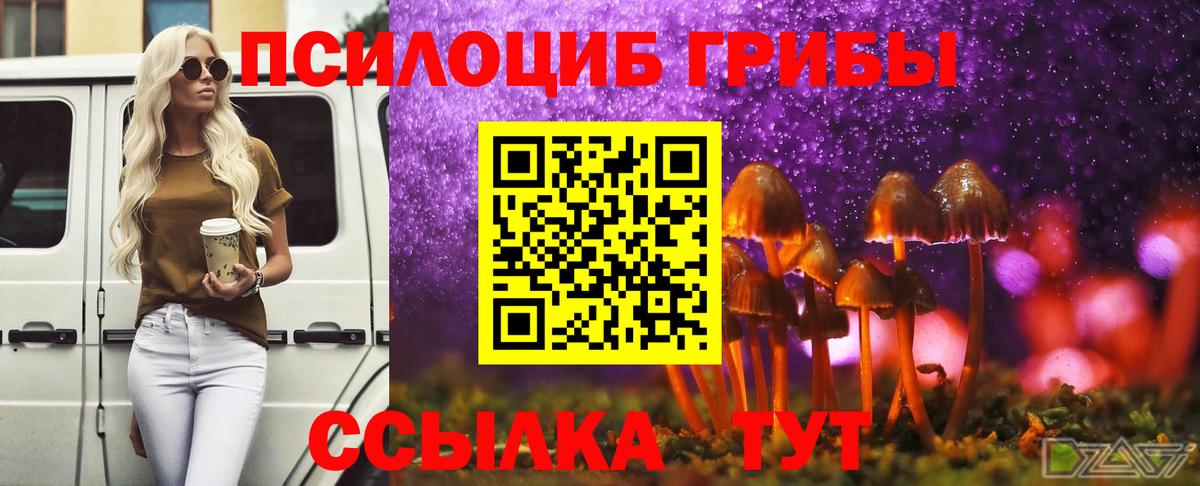 Сланцы  Псилоцибиновые грибы ЛСД  Вход с VPN 