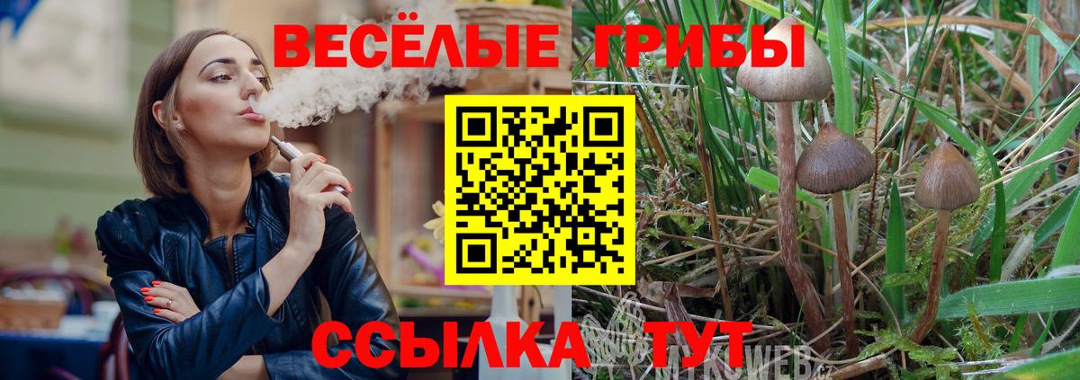 Галлюциногенные грибы MAGIC MUSHROOMS Сланцы